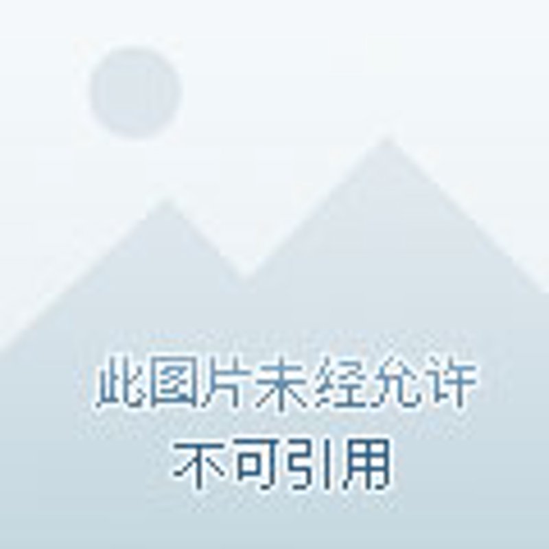 南通科雷贸易：一家充满活力的外贸企业